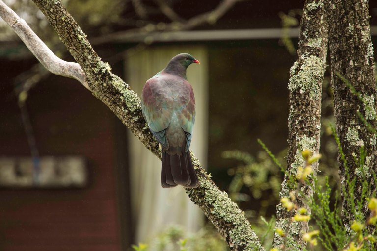 (Oct 20, 2016 10-31 AM)Canon Canon EOS 5D Mark III(5760x3840)64529