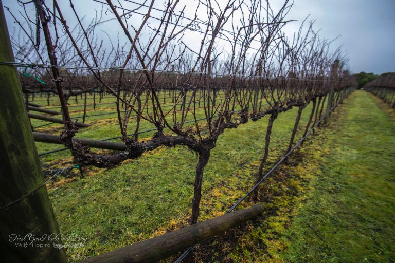 Stream Block Kuratau Small